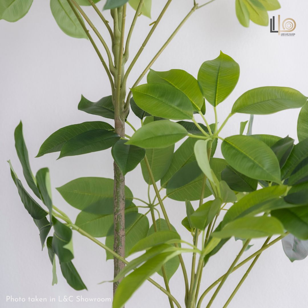 Evergreen Artificial Plant - 150cm