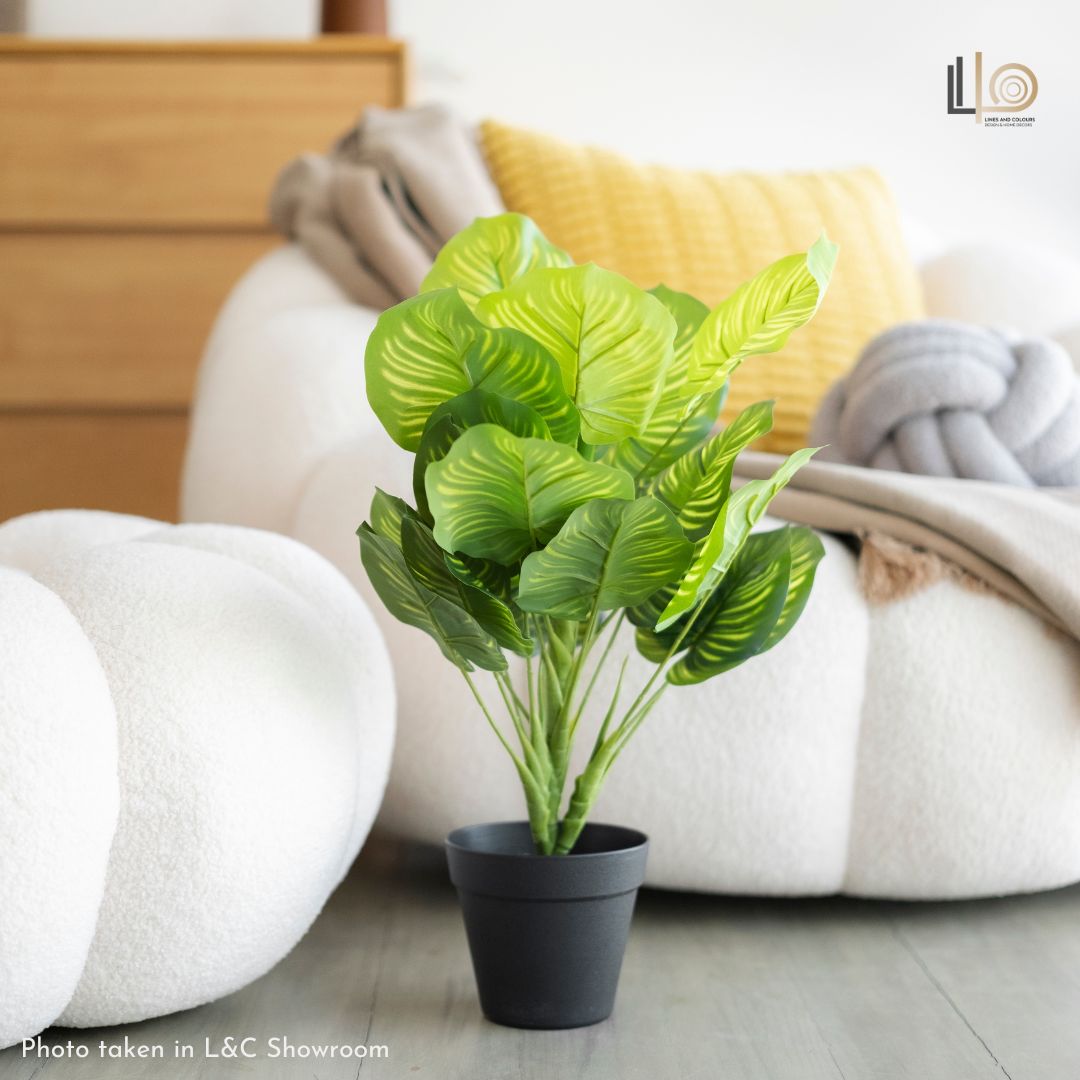 Arrowroot Artificial Plant - 45cm