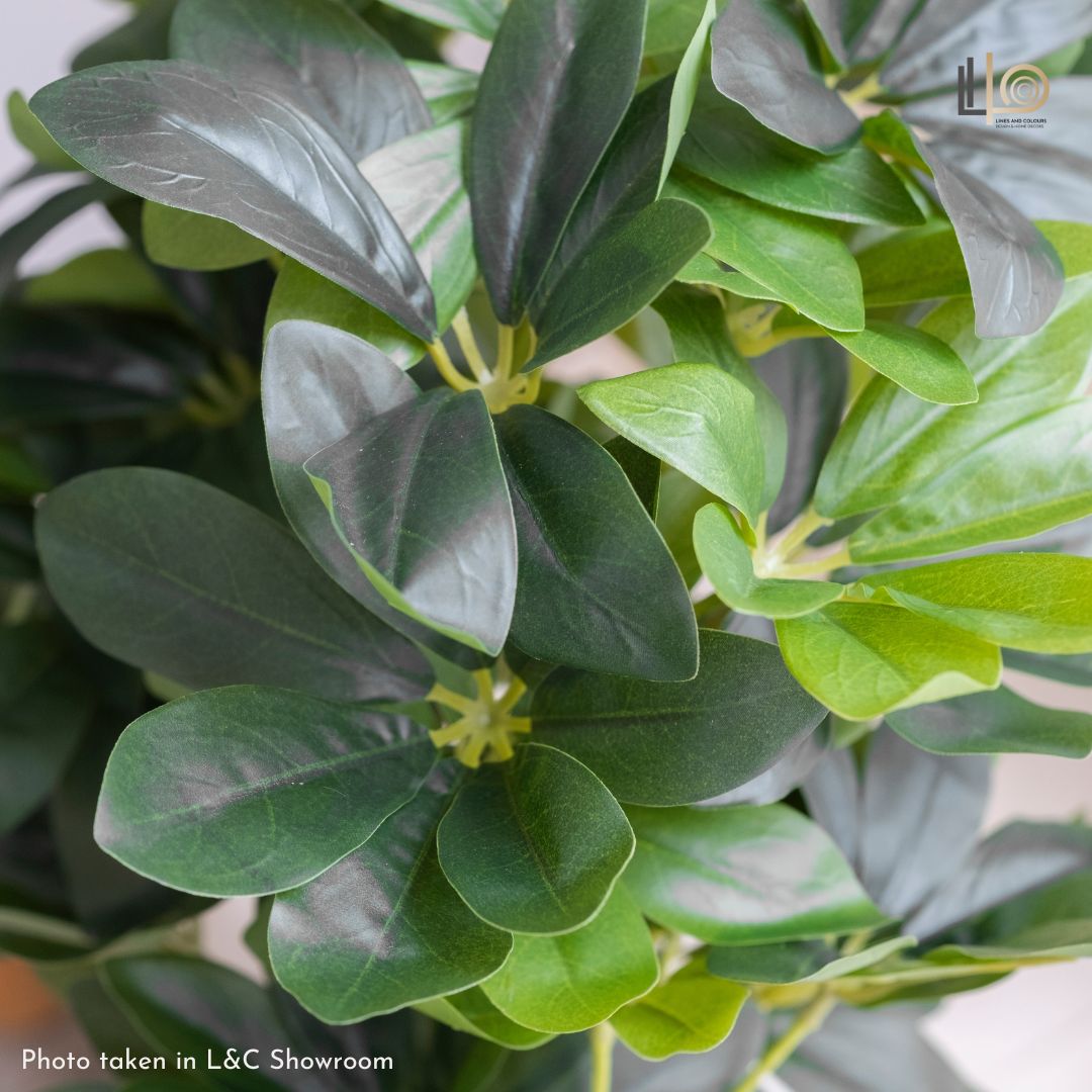 Schefflera Artificial Plant - 60cm