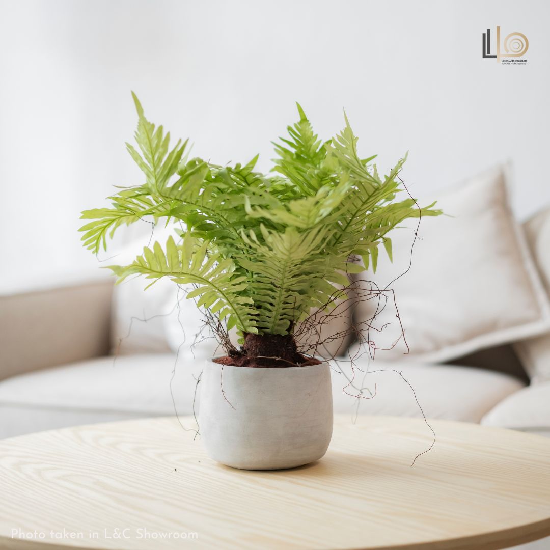 Fern Bonsai Artificial Plant