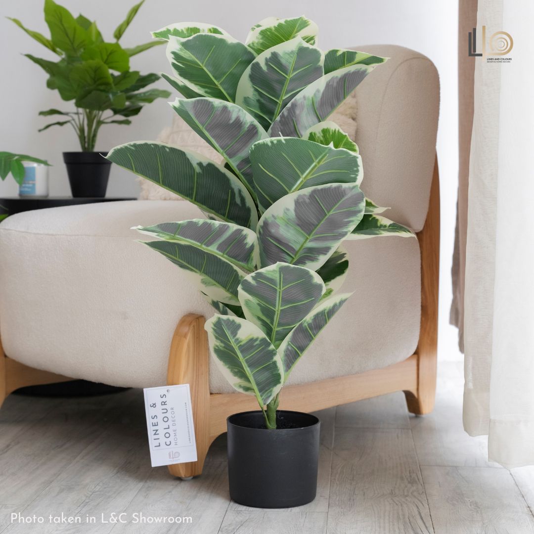 Ficus Elastica Artificial Plant - 80cm