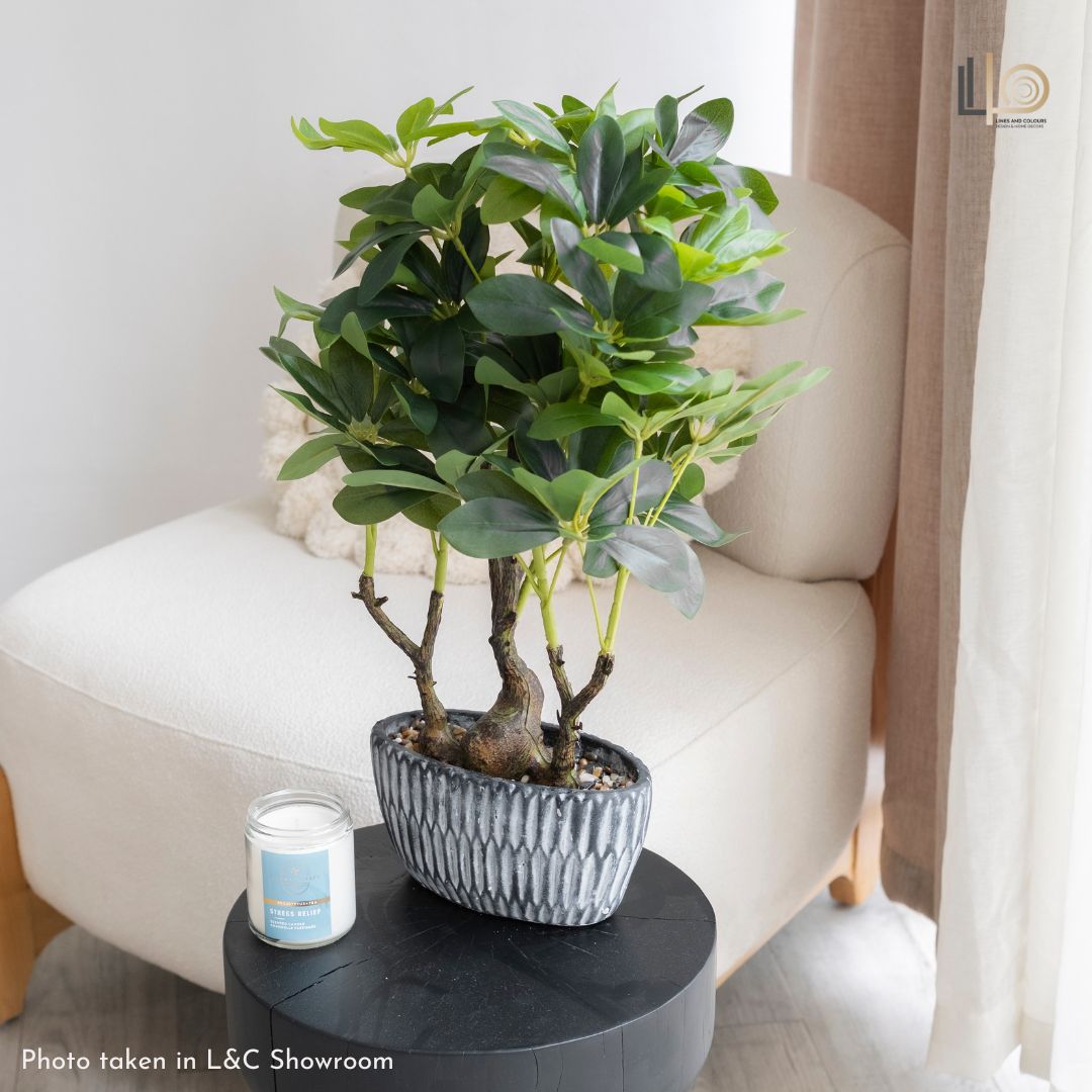 Schefflera Artificial Plant - 60cm