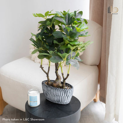 Schefflera Artificial Plant - 60cm
