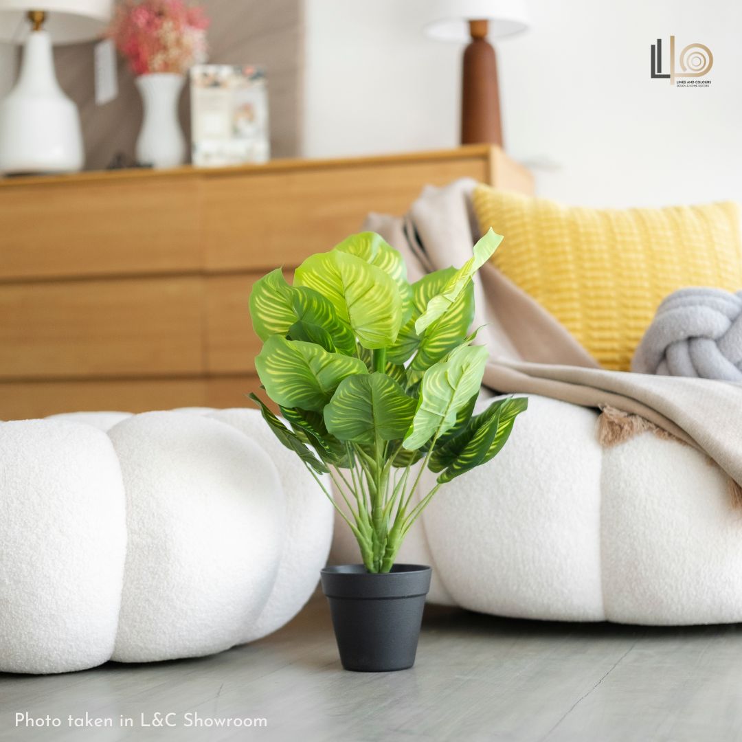 Arrowroot Artificial Plant - 45cm