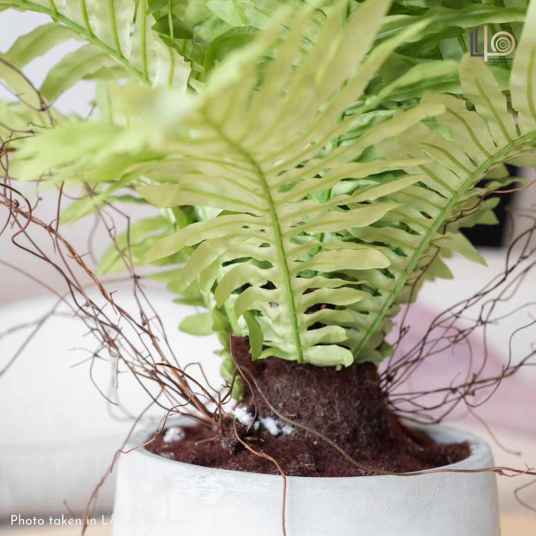 Fern Bonsai Artificial Plant