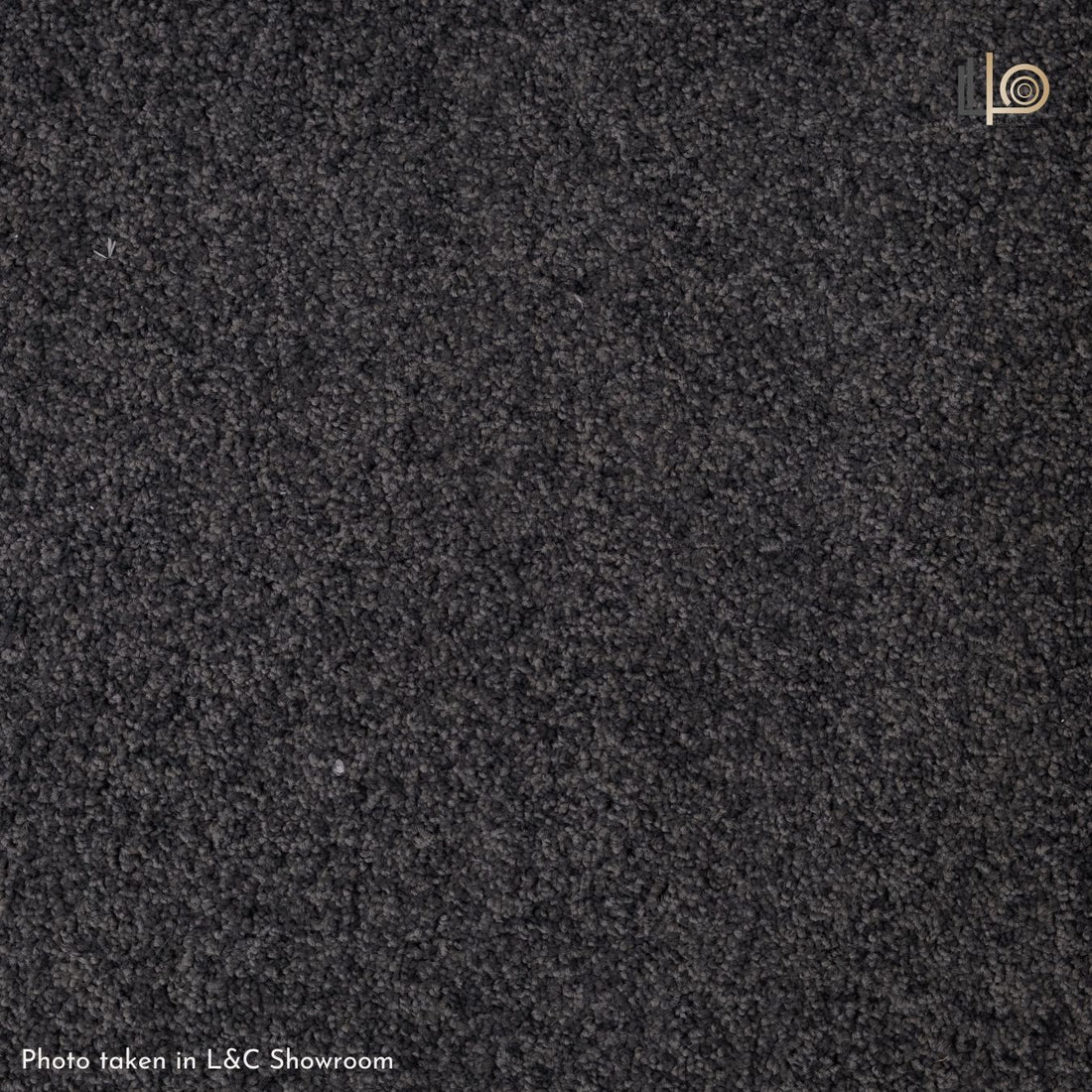 Dicy Rug