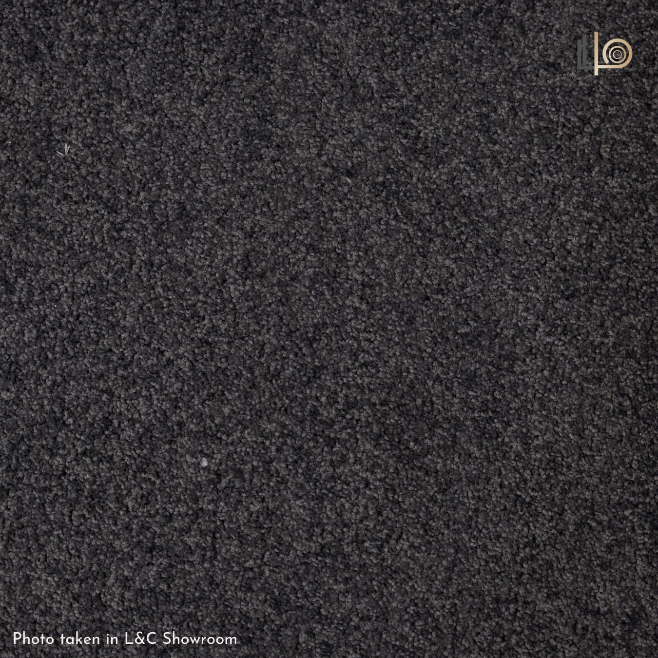 Dicy Rug