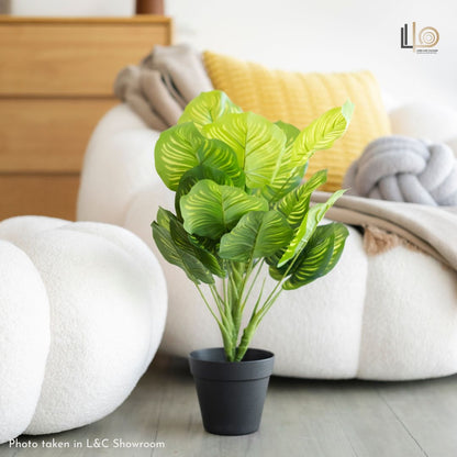 Arrowroot Artificial Plant - 45cm