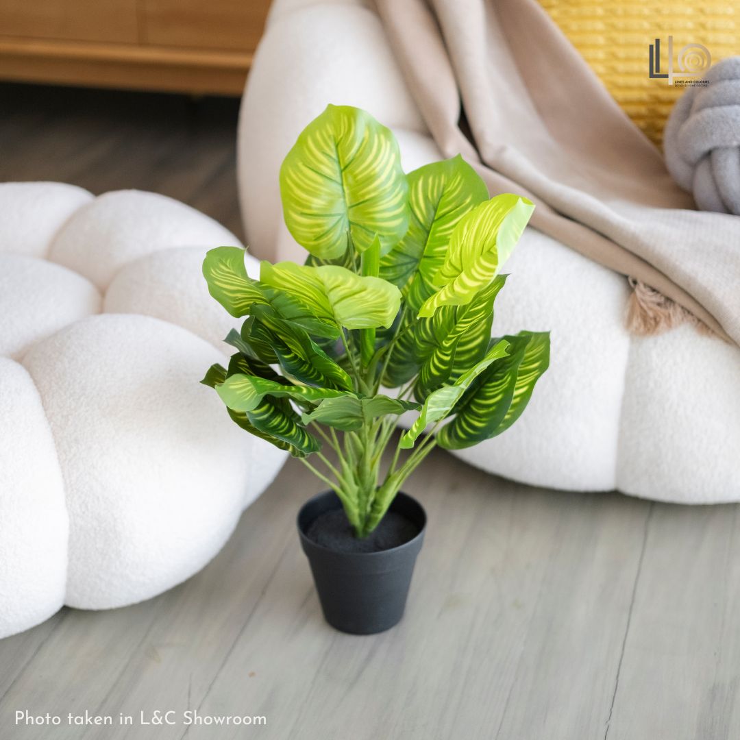 Arrowroot Artificial Plant - 45cm
