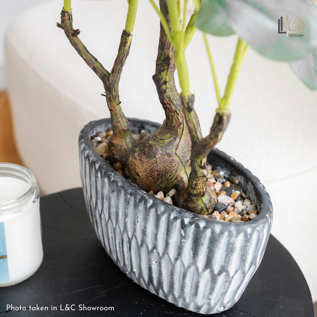 Schefflera Artificial Plant - 60cm